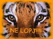 NE LOPJ!!!!!